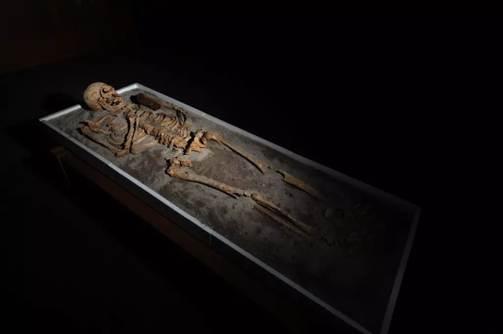 A skeleton with an iron piece before being exposed at the National History museum in Sofia 1