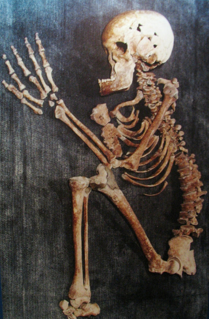 Alit Yam – Human skeleton